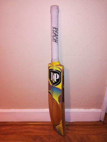 Dp hybrid cricket bat Sh