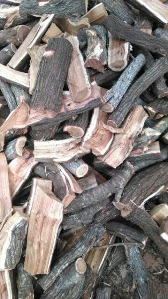 Blackwattle, Bluegum, Rooikrans, Hardwood Braai & Fire wood