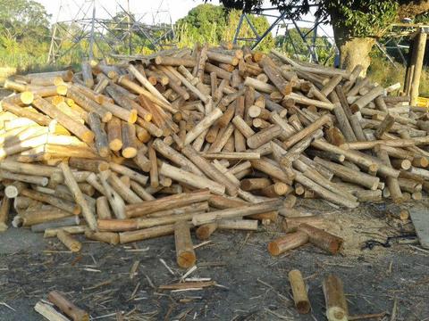 Quality Firewood- Bundles, braai packs, bulk & wattle wood