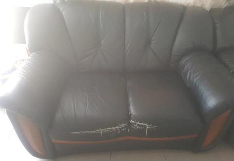 Genuine leather Grafton Everest couches