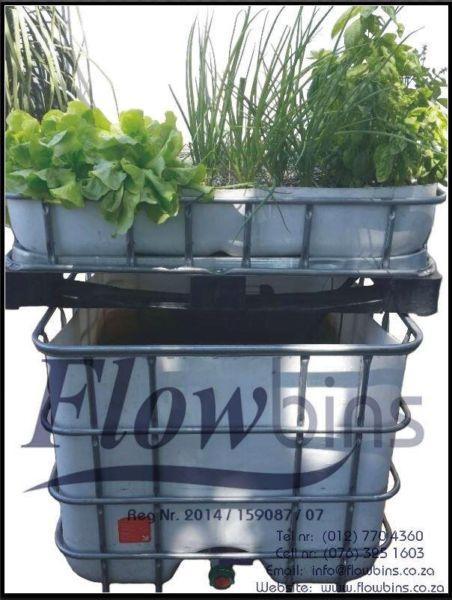 Gauteng- NEW Aquaponics complete starter kits - Growbed, Fish tank, Water and Air pump, Piping, Etc