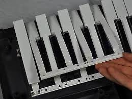 Musical Keyboard service repairs and parts