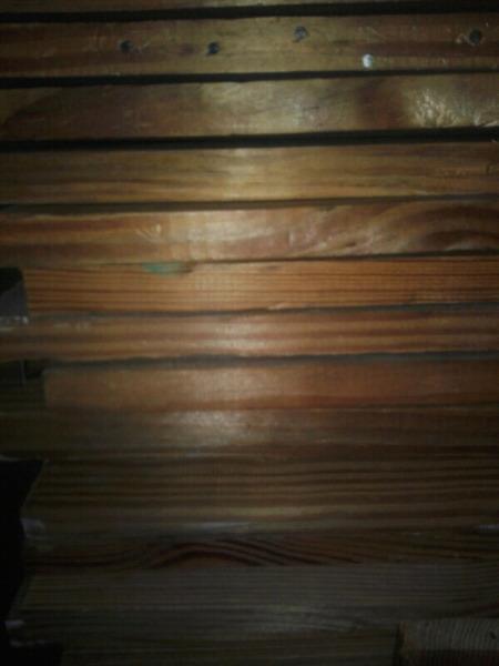 300 oregon pine shelves