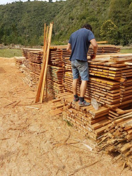 Saligna planks, bloekom planke, rough timber, houtwerk, woodwork