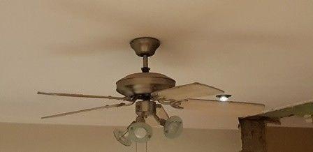 Ceiling fan with lights for sale
