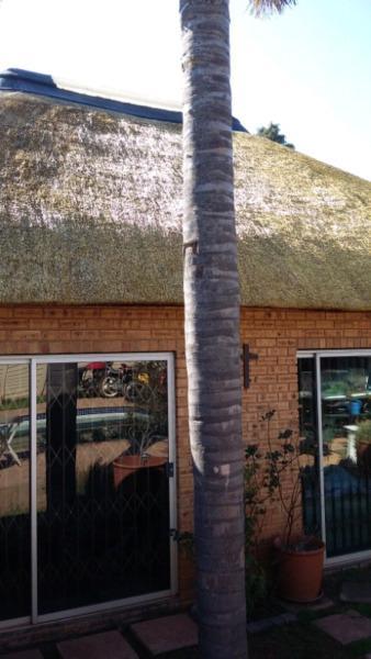 Spraying Thatches with fire protection