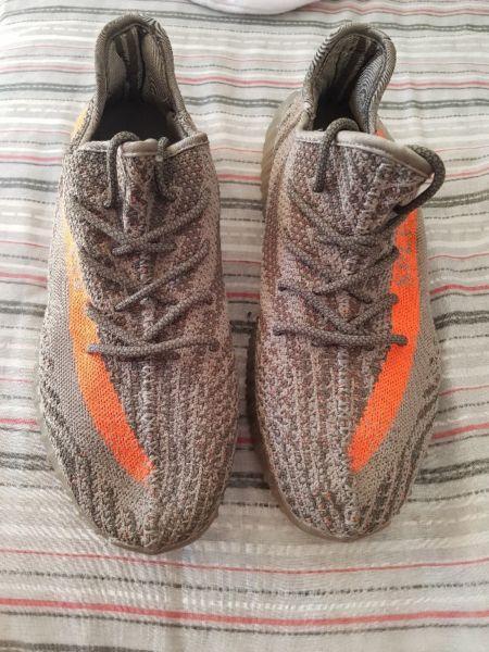 Beluga yeezy v2 uk8.5