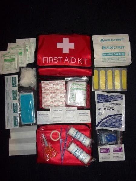 Car and Home First Aid Kit-Open sat