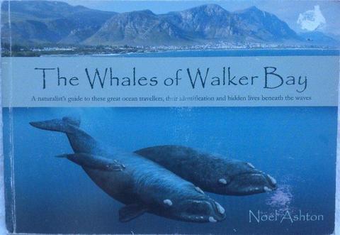 The Whales of Walker Bay - Noel Ashton