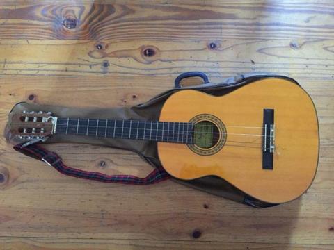 Angelica guitar in excellent condition