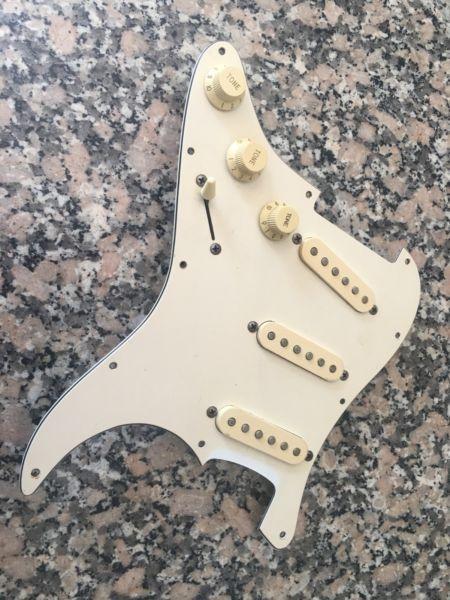 Loaded Pickguard