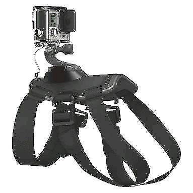 Dog harness for gopro