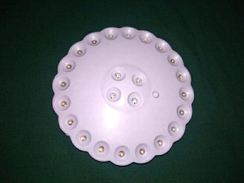 LED lights (battery operated)