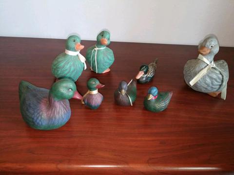 Duck collection