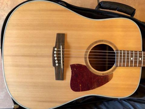 Ibanez Artwood Acoustic Guitar