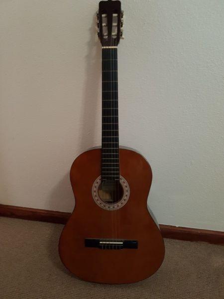 Johnson Guitar