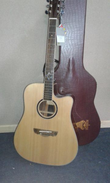 Dreambow Acoustic/Electric guitar