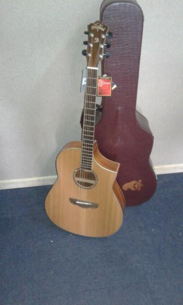 Dreambow Acoustic/Electric guitar