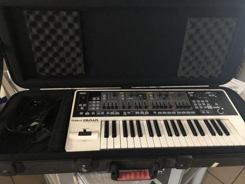 Roland Gaia with Hardcase