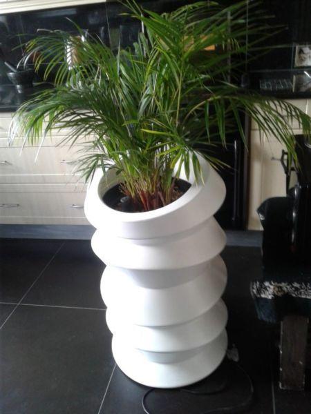 Plant Pots with Lights