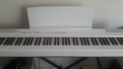 Yamaha Digital Piano P105