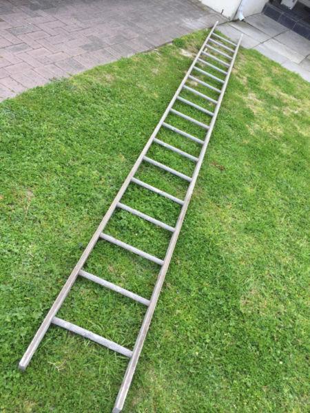 Long Industrial Straight leaning ladder – 500cm long
