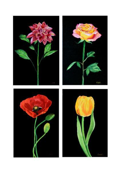 Original Flower paintings set