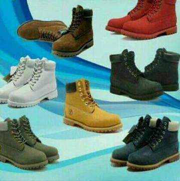 Timberland all colours