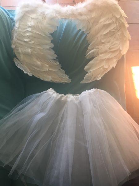 Angel wings, tutu & halo