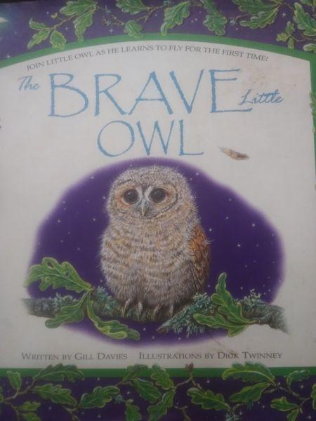 Childrens books, The brave Little Owl and the magic porridge pot @SPCA charity book shop PMB