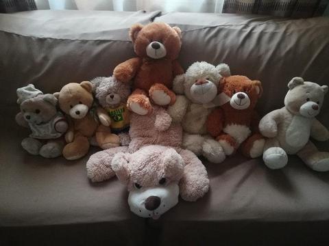 8 Teddy Bears