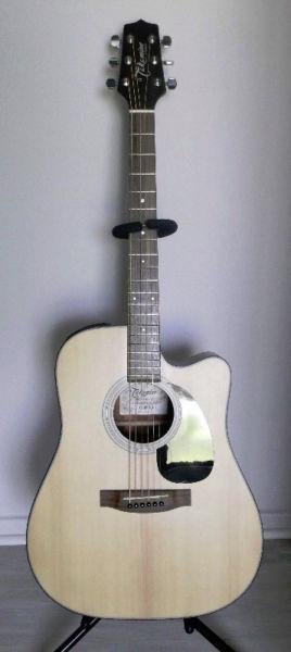 Takamine G Series Guitar