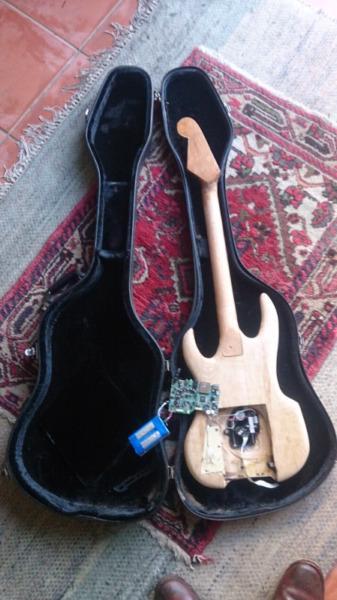 Electric guitar and case