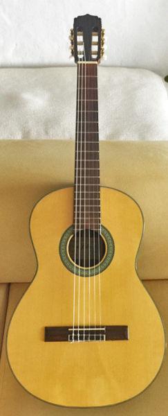 Classical Aria Guitar with Hard Case