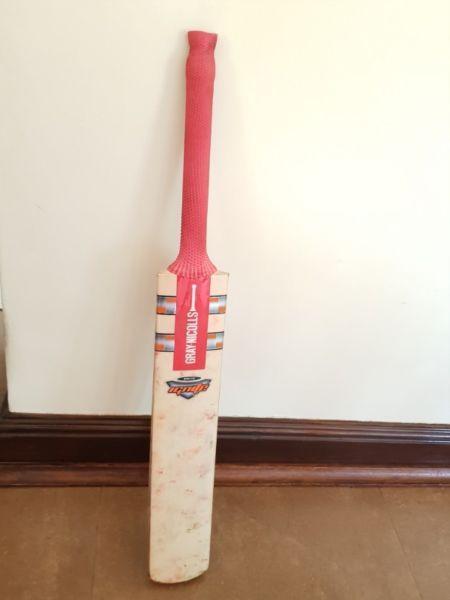 Gray Nicolls Ignite Cricket Bat