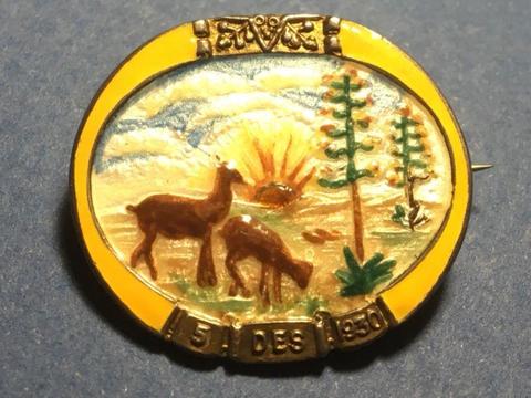 Antique Enamel Africana Badge