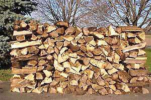 Best prices for Braai and fire place wood (O81) 561-2827