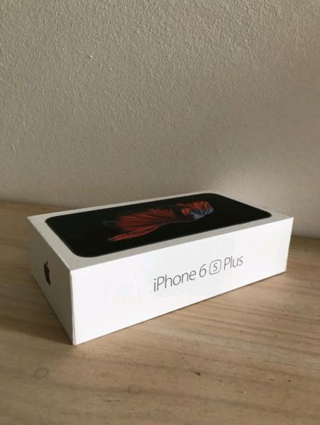 Iphone 6s Plus 64 Gb With Box For Sale Space Grey Grey