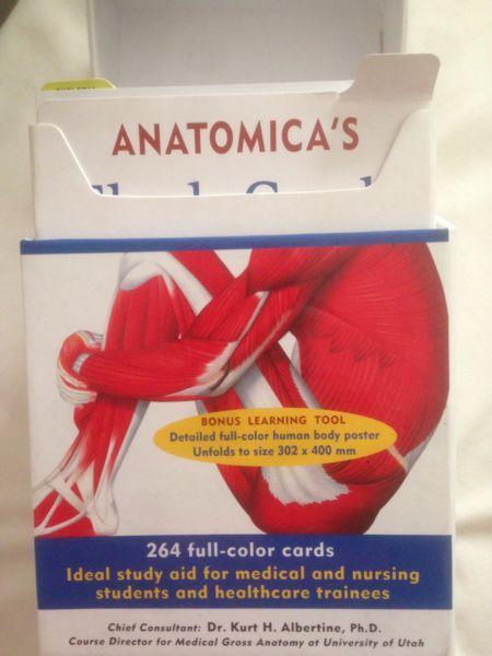 Anatomical flash cards