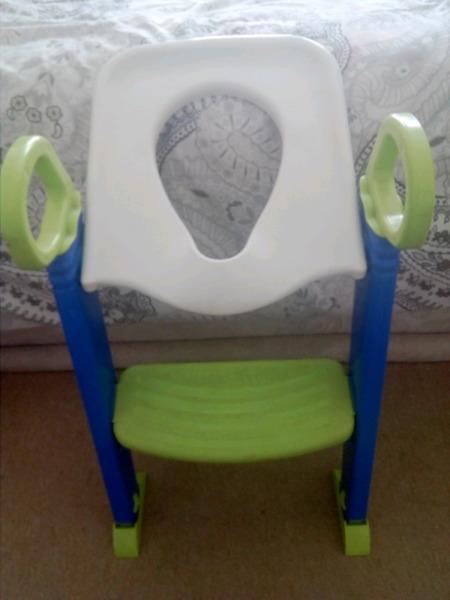 Baby step ladder toilet seat