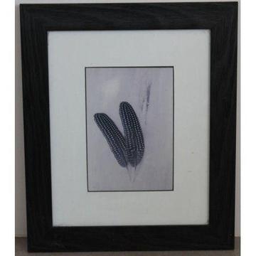 Black and White Vintage Feather Print