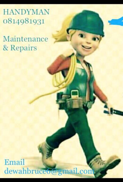 Repair fridges and re gas on site