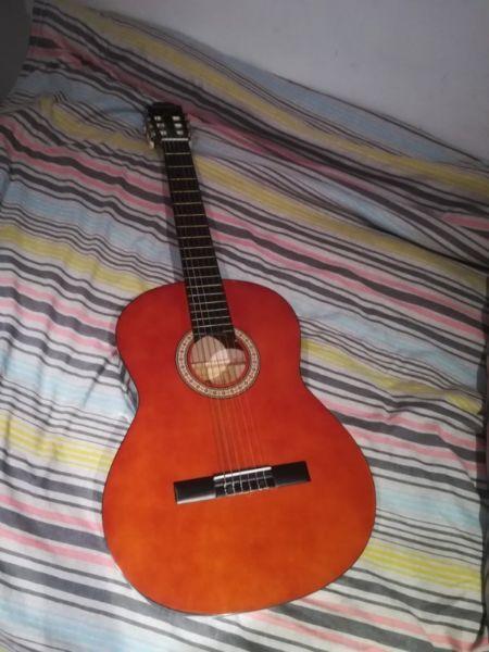 wedgwood acoustic guitar