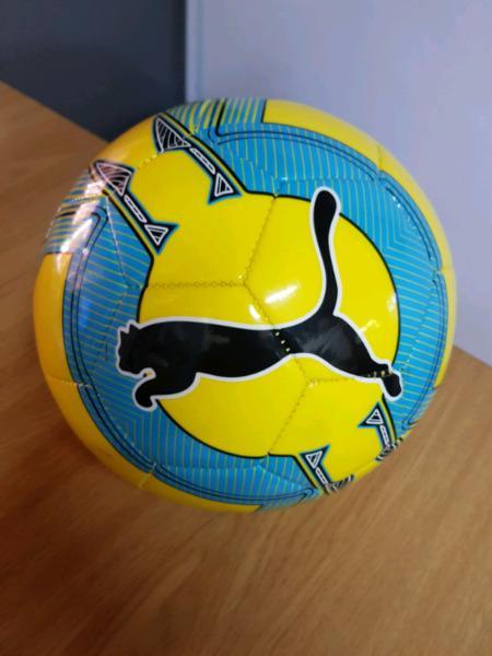 Puma evo force soccerball