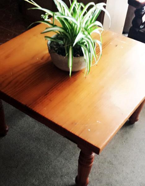 Coffee table pine