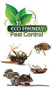 Absolute Fumigation and Pest Control Services