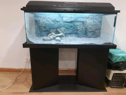 Large fish tank with sand, decorations and lights