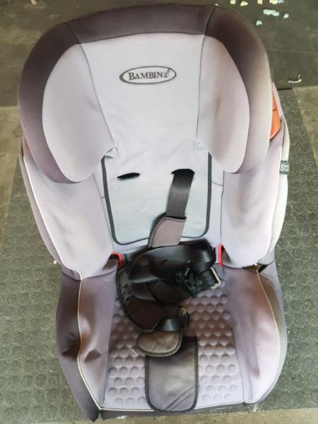 Baby car seat, rocker and potty