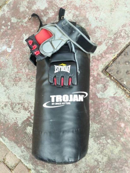 Punching Bag and gloves