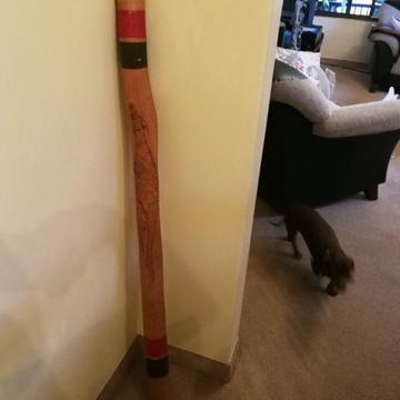Real from Australia Didgeridoo